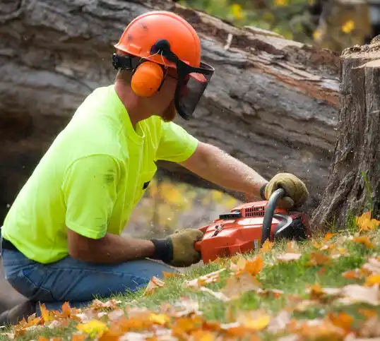 tree services Lathrop